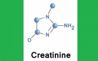 Κρεατινίνη: Τι είναι και τι σημαίνει αν είναι αυξημένη