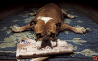 Ήπιατε πολύ; Αντιμετωπίστε το hangover