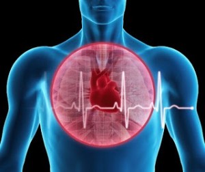 ζώνες καρδιακής συχνότητας