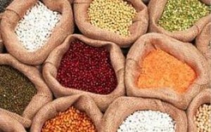 trofes-thewreitai-oti-parateinoun-thn-neothta