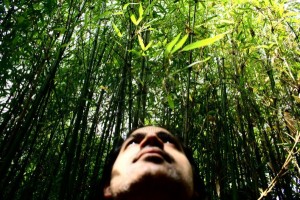 αρνήθηκαν να πεθάνουν