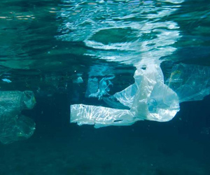 Θάλασσες χωρίς πλαστικό