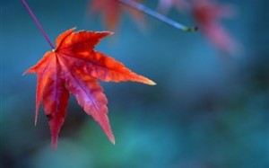 σεξουαλική μας ζωή