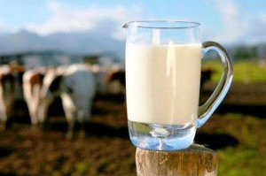 βιολογικό γάλα