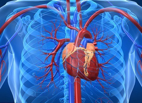 Εμφύτευσαν βιοπροσθετική αυτόνομη καρδιά σε ασθενή