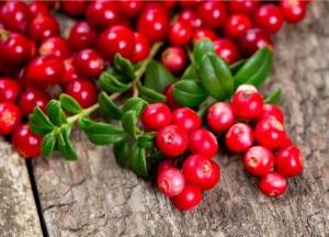 E5B7F25965F154D3A7CF4C640D24E463