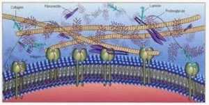 Μια νέα, επαναστατική, θεραπευτική προσέγγιση