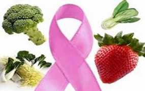 Η αλληλεπίδραση της διατροφής με τα διάφορα στάδια εμφάνισης καρκίνου. Συμβουλές υγιεινής διατροφής και πρόληψης