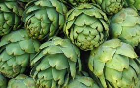 Αγκινάρες, η διατροφική τους αξία, κατάλληλες για το συκώτι, το έντερο, την χοληστερίνη, την οστεοπόρωση, την αναιμία, τα αρθριτικά, τον καρκίνο.