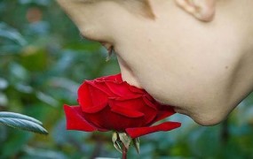 Πόσες μυρωδιές μπορείτε να αναγνωρίσετε