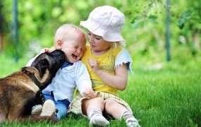 Λύσσα: τι είναι, τι προσέχουμε, πώς την αντιμετωπίζουμε;