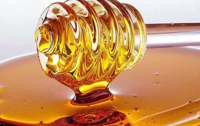 Το μέλι έχει σημαντικό ρόλο στην πρόληψη και καταπολέμηση της παχυσαρκίας.