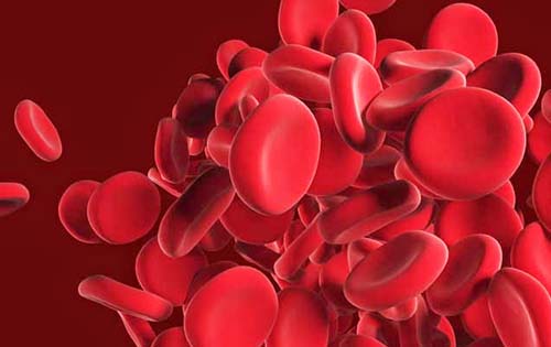 Θεσμοθετημένες Μονάδες Μεσογειακής Αναιμίας σε όλη την Ελλάδα