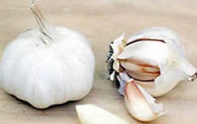 Καταπολεμήστε τη μυρωδιά του σκόρδου