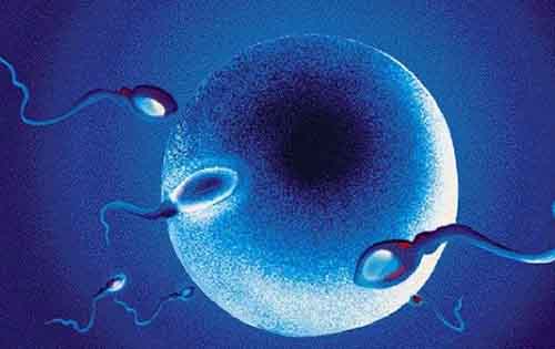 Νέα μέθοδος για το «ορμονικό ξύπνημα» στην εξωσωματική