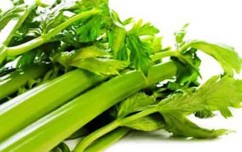 Τα οφέλη του σέλινου στην υγεία