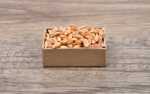 Πέντε φυτικές πηγές πρωτεϊνών που δεν έχετε ξανακούσει