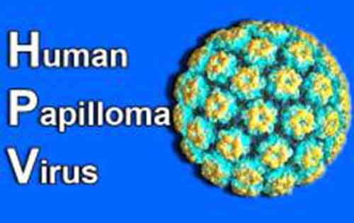 Human Papillomaviruses (HPV). Kονδυλώματα - μυρμηκιες. Πρόληψη και εμβολιασμός
