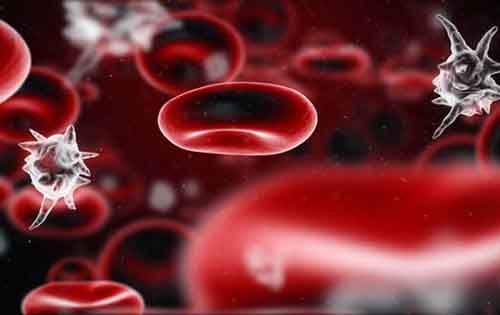 Χαμηλά αιμοπετάλια (θρομβοπενία) και αυξημένα αιμοπετάλια (θρομβοκυττάρωση). Που οφείλονται οι διαταραχές των αιμοπεταλίων.
