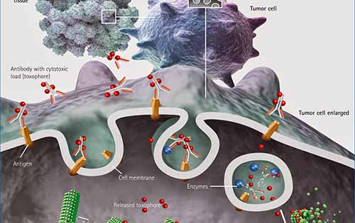 Σημαντικές εξελίξεις στο Τμήμα Ογκολογίας της Bayer