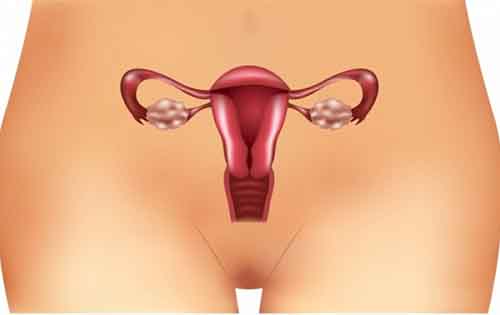 Υπάρχει επιστημονικός τρόπος να καθυστερήσουμε την περίοδο;