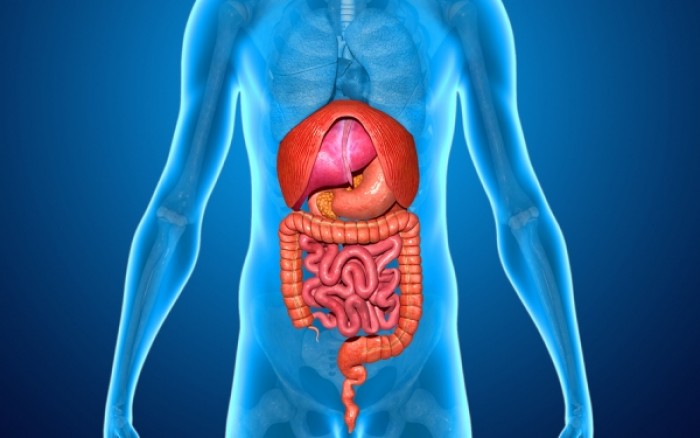 Ειλεός: Τι τον προκαλεί και γιατί χρήζει άμεσης αντιμετώπισης