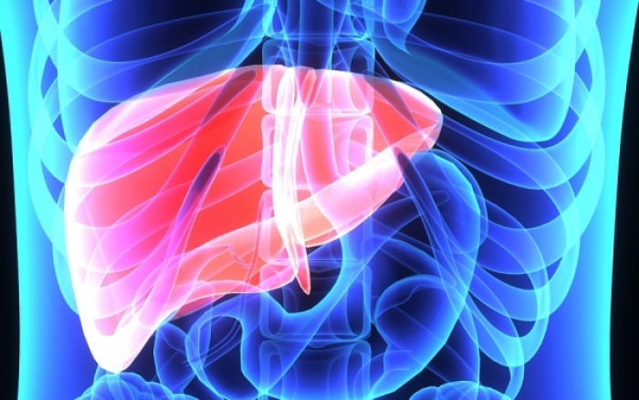 Ηπατοκυτταρικό καρκίνωμα: Προειδοποιητικά σημάδια και θεραπεία