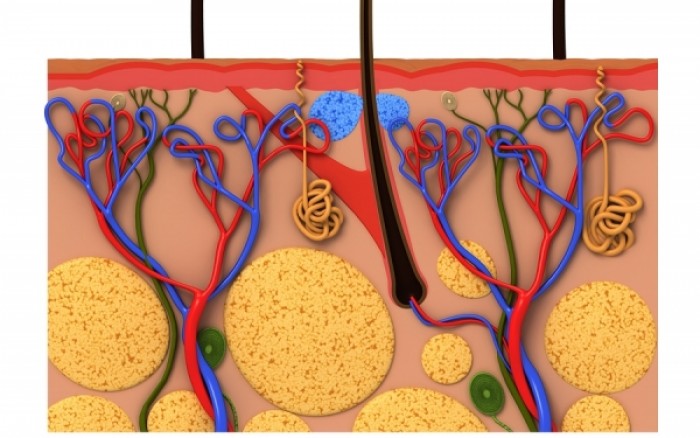Θυλακίτιδα: Συμπτώματα και αντιμετώπιση