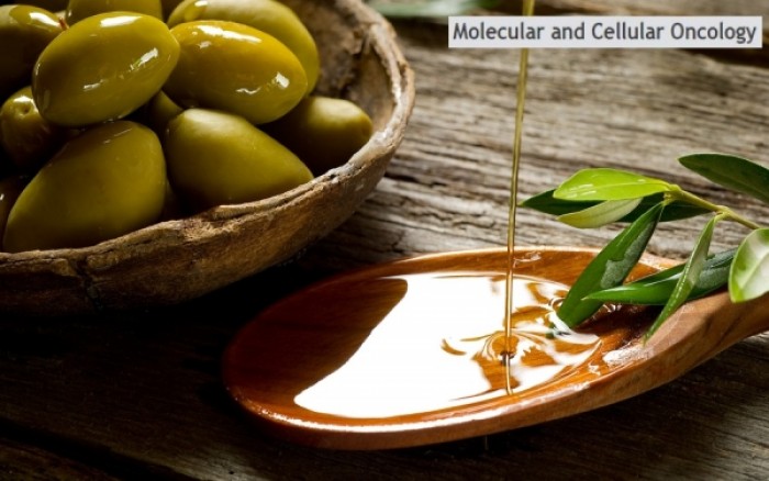 Ελαιόλαδο: Ελπίδες στη μάχη κατά του καρκίνου χάρη στην ουσία ολεοκανθάλη