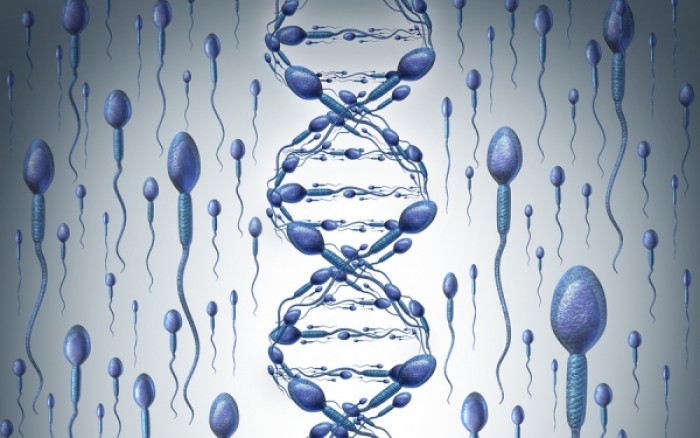 Τι αποκαλύπτει το… σπέρμα για την υγεία του άντρα