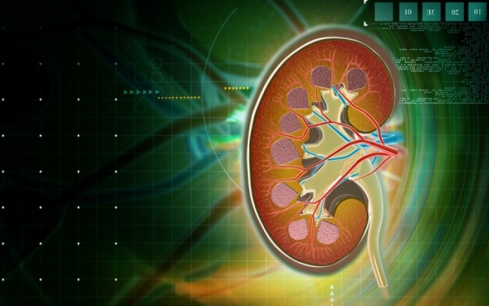 Πέτρες στα νεφρά: 7 μύθοι που δεν πρέπει να σας παραπλανήσουν