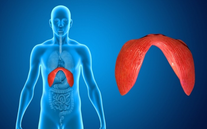 Διαφραγματοκήλη: Συμπτώματα κι αντιμετώπιση