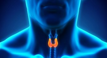 Ελέγξτε το θυρεοειδή σας με ένα και μόνο… θερμόμετρο!