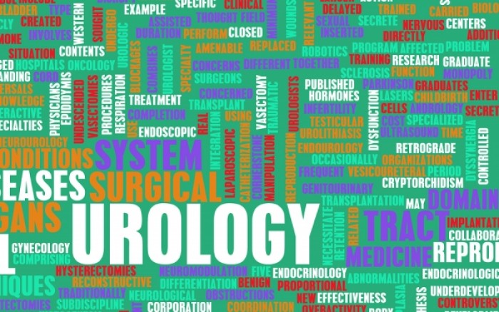 Η αντιμετώπιση των λοιμώξεων του ουροποιητικού