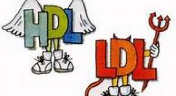 Η Κακή και η Καλή Χοληστερίνη