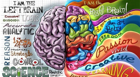 Τα Εγκεφαλικά Ημισφαίρια: Δύο διαφορετικοί τρόποι αντίληψης και λειτουργίας στον κόσμο!