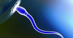 5 χαρακτηριστικά για την ποιότητα του σπέρματος