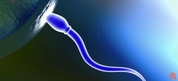 5 χαρακτηριστικά για την ποιότητα του σπέρματος