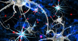 Η σωστή διατροφή για την άνοια και το Αλτσχάιμερ