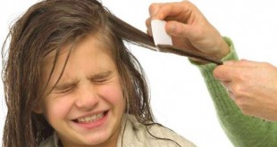 Οι ψείρες …πάνε σχολείο