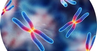 Τι σημαίνουν οι όροι ομόζυγος ή ομοζυγώτης και ετερόζυγος ή ετεροζυγώτης και πώς βοηθά να καταλάβουμε ορισμένες ασθένειες, αναιμίες, σπάνιες παθήσεις, καρκίνο