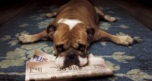 Ήπιατε πολύ; Αντιμετωπίστε το hangover