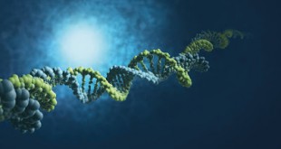 H Bayer Ελλάς καινοτομεί και παρουσιάζει την ανανεωμένη εταιρική εικόνα