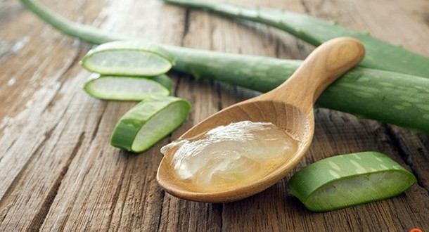 Είναι η αλόη η νέα μόδα για την προστασία της υγείας;