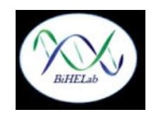 Ηλεκτρονικός φάκελος για ασθενείς με νευροεκφυλιστικές νόσους