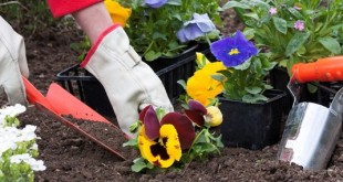 Πώς θα έχετε καλύτερη διανοητική υγεία