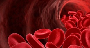 Τρισδιάστατη κυκλοφορία του αίματος, σε μία οθόνη!