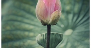 Σπάνια Φροντίδα για Σπάνιους Ανθρώπους, Εκστρατεία Ενημέρωσης και Ευαισθητοποίησης για τα Σπάνια Νοσήματα