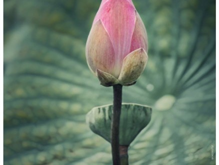 Σπάνια Φροντίδα για Σπάνιους Ανθρώπους, Εκστρατεία Ενημέρωσης και Ευαισθητοποίησης για τα Σπάνια Νοσήματα