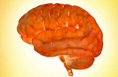 Τι είναι η μηνιγγίτιδα; Ολα όσα θα θέλετε να ξέρετε σχετικά.